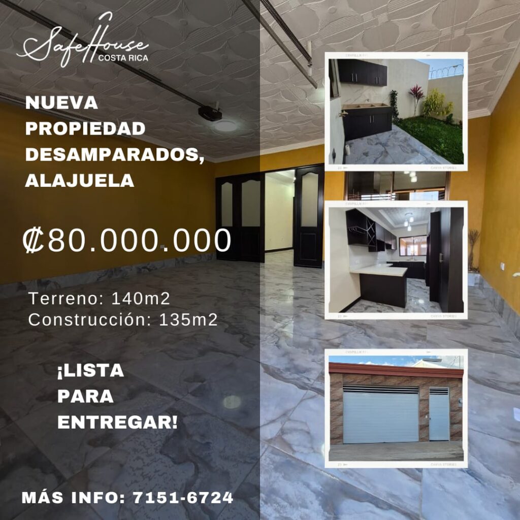 whatsapp image 2026 02 12 at 7.22.06 pm (1)