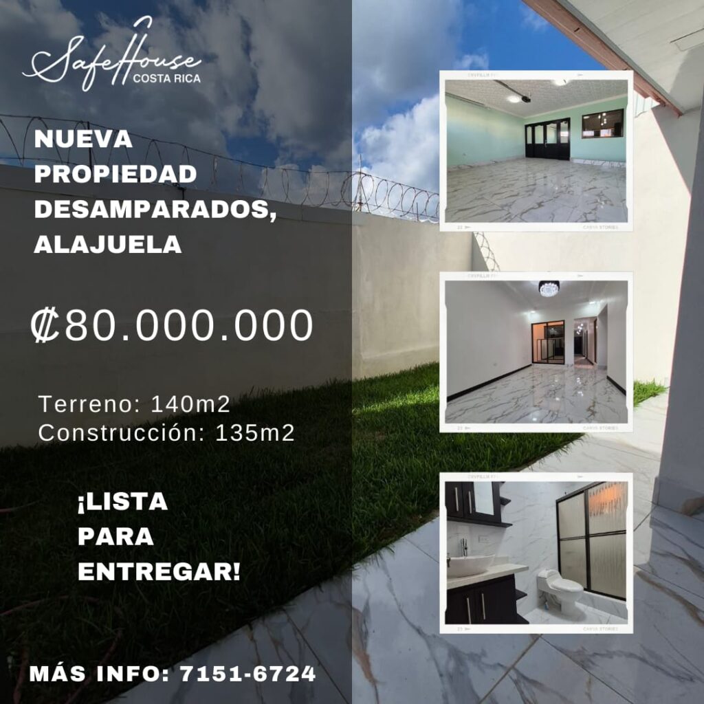 whatsapp image 2026 02 12 at 7.22.06 pm